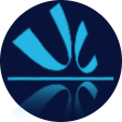 Icon primary