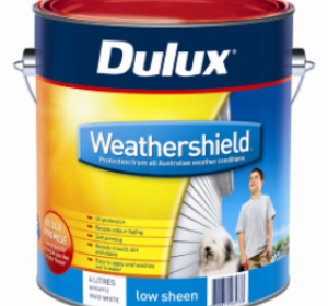 Paint